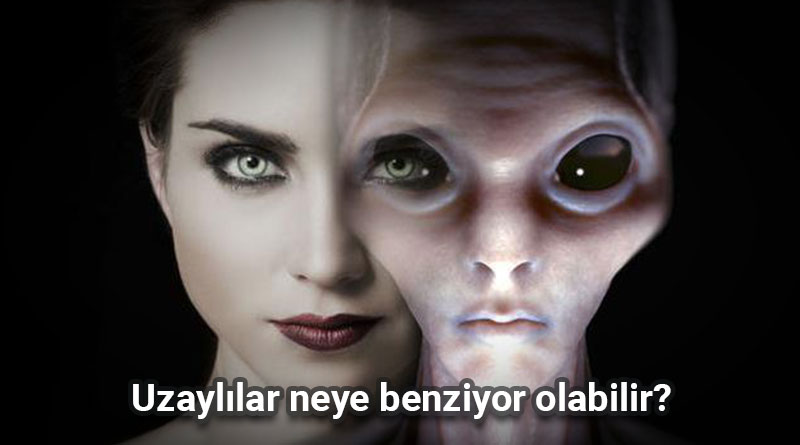 Uzaylılar neye benzer?