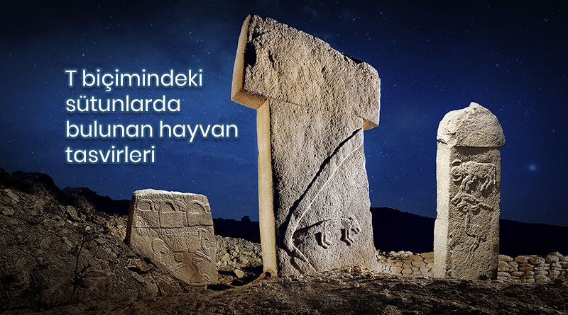 Göbeklitepe Hayvan Tasvirleri