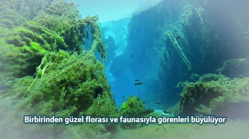 Gökpınar Gölü Dalış